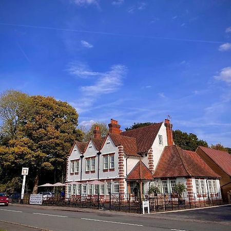 The Bulls Head Inn Ewhurst Exteriör bild